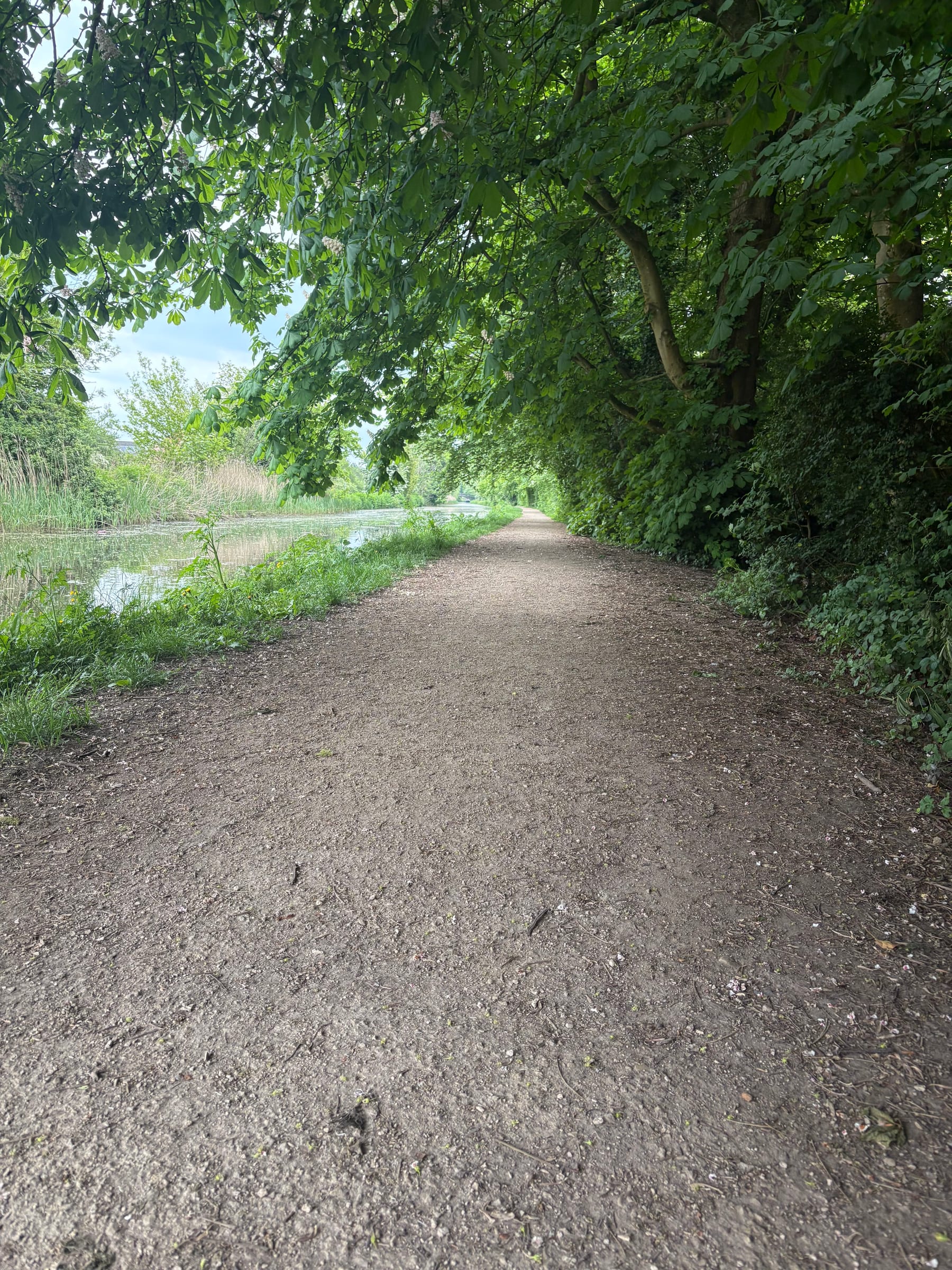 Photograph: Canal towpath in summer, Cottam canal